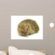 Hedgehog