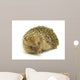 Hedgehog