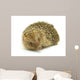 Hedgehog