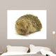 Hedgehog