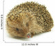 Hedgehog