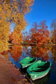 Autumn Stroll Wall Decal