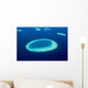 Aerial Coral Reefs Maldives Wall Decal