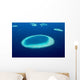 Aerial Coral Reefs Maldives Wall Decal