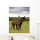 Two Horses Love Wall Mural