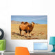 Bactrian Camel Mongolian Desert Wall Decal