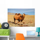 Bactrian Camel Mongolian Desert Wall Decal