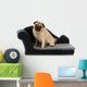 Pug Dog Sitting Blue Wall Decal