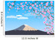 Fuji Wall Mural