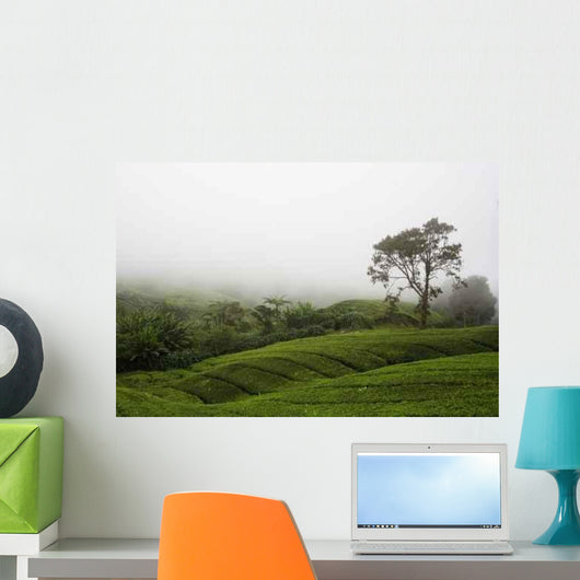 Tea Plantation Wall Decal Design 2