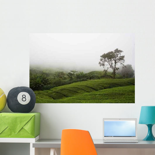 Tea Plantation Wall Decal Design 2