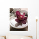 Orchid Close-up Bottom Pebbles Wall Mural