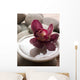 Orchid Close-up Bottom Pebbles Wall Mural
