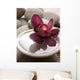 Orchid Close-up Bottom Pebbles Wall Mural