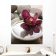 Orchid Close-up Bottom Pebbles Wall Mural