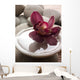 Orchid Close-up Bottom Pebbles Wall Mural