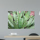 Aloe Wall Mural