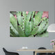 Aloe Wall Mural