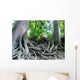 tree roots Wall Mural