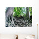 tree roots Wall Mural