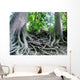 tree roots Wall Mural