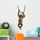 Baby Sumatran Orangutan Wall Decal
