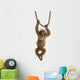 Baby Sumatran Orangutan Wall Decal
