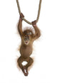Baby Sumatran Orangutan Wall Decal