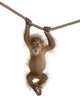 Baby Sumatran Orangutan Wall Decal