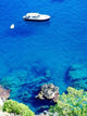Azure Sea Capri Island Wall Decal