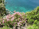 Dubrovnik Wall Decal Design 1