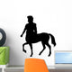 Mythology Silhouettes Male Centaur Wall Decal