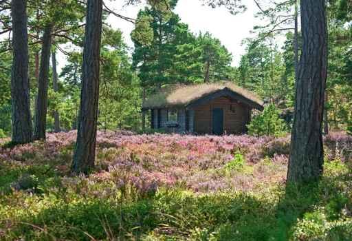 Wooden Cabin Wildflower Meadow Wall Decal