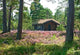 Wooden Cabin Wildflower Meadow Wall Decal