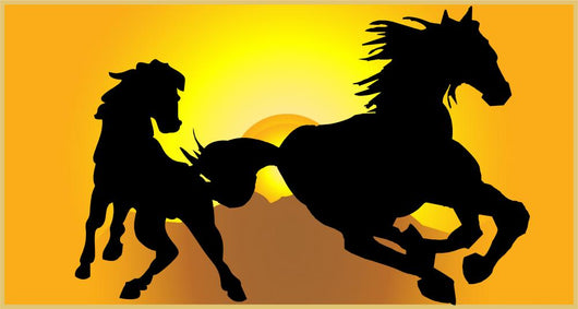 Horse Play Wall Mural