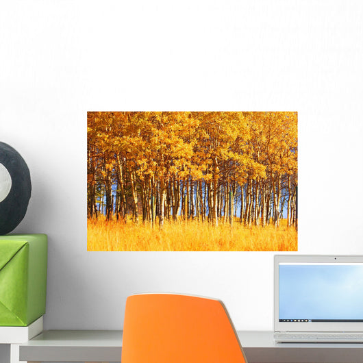 Trees In Autumn Wall Mural
