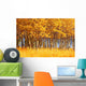 Trees In Autumn Wall Mural