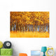 Trees In Autumn Wall Mural