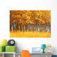 Trees In Autumn Wall Mural
