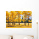 Trees In Autumn Wall Mural