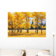 Trees In Autumn Wall Mural
