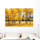 Trees In Autumn Wall Mural