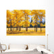 Trees In Autumn Wall Mural