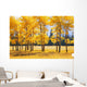 Trees In Autumn Wall Mural