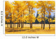 Trees In Autumn Wall Mural