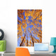 Tree Tops Wall Mural