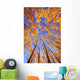 Tree Tops Wall Mural