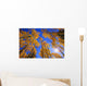 Upward View Of Trees In Autumn Wall Mural