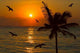 Tropical Sunset Scene Wall Decal