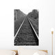 Train Tracks Wall Mural